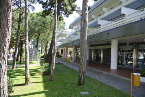  Condominio AL PARCO  Линьяно Пинета